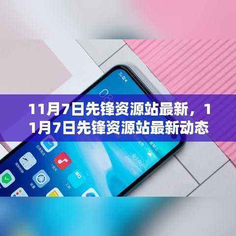 11月7日先锋资源站最新动态,多维度观点探析