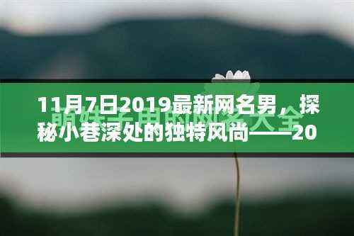 探秘独特风尚,2019年最新男网名背后的故事(11月7日更新)