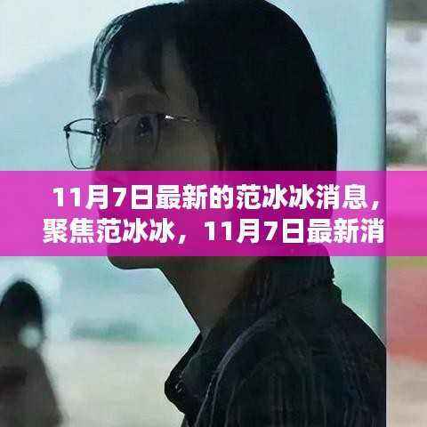 范冰冰最新消息聚焦,深度解析其最新动态(11月7日更新)