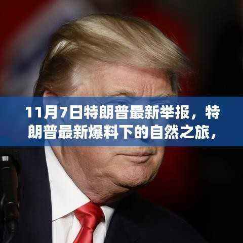 特朗普爆料下的自然之旅,寻找内心宁静与微笑的旅程