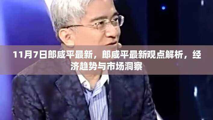 郎咸平最新观点解析,经济趋势与市场洞察(11月7日更新)
