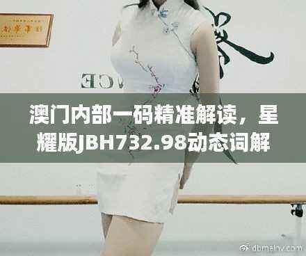 澳门内部一码精准解读,星耀版JBH732.98动态词解