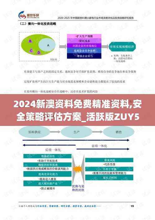 2024新澳资料免费精准资料,安全策略评估方案_活跃版ZUY515.66