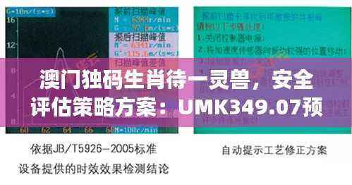 澳门独码生肖待一灵兽,安全评估策略方案:UMK349.07预测版