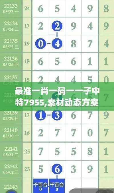 最准一肖一码一一子中特7955,素材动态方案解答_随意版238.14
