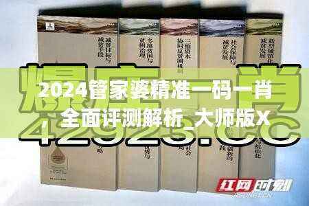 2024管家婆精准一码一肖,全面评测解析_大师版XST41.55