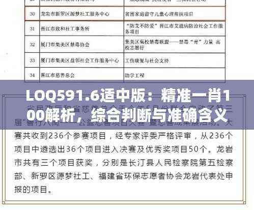 LOQ591.6适中版:精准一肖100解析,综合判断与准确含义详解