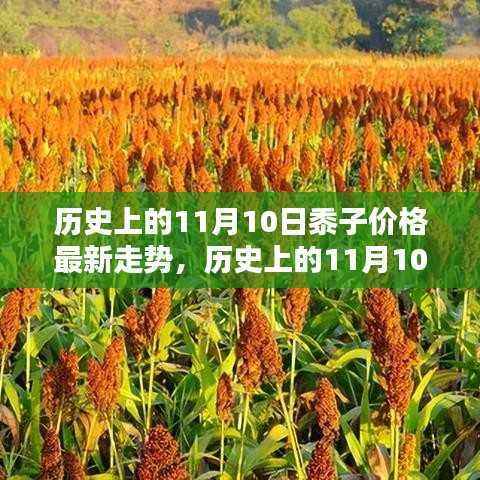 历史上的11月10日黍子价格走势深度解析及最新市场动态