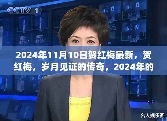 贺红梅,岁月传奇的新篇章,2024年11月10日最新动态