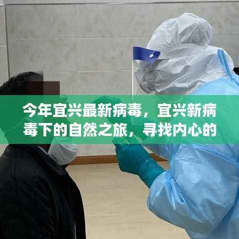 宜兴新病毒下的自然之旅,探寻内心宁静与平和之道