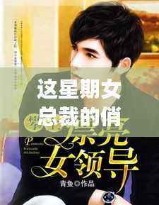 最新章节解析,女总裁的俏房客与现代都市情感故事的深度解读