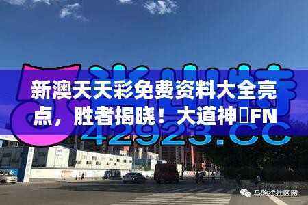 新澳天天彩免费资料大全亮点,胜者揭晓!大道神祇FNQ186.39