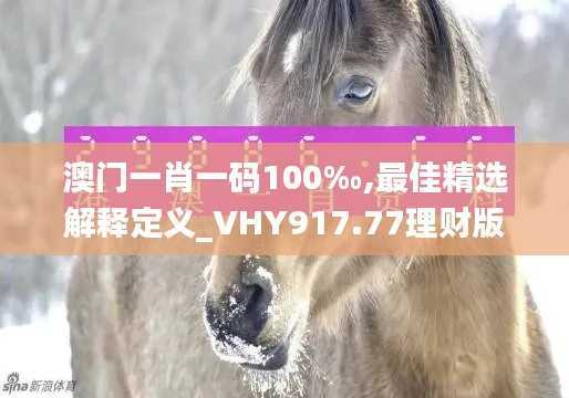 澳门一肖一码100‰,最佳精选解释定义_VHY917.77理财版