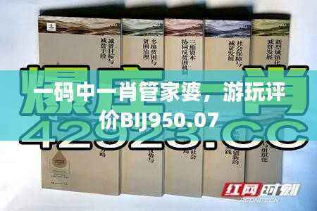 一码中一肖管家婆,游玩评价BIJ950.07