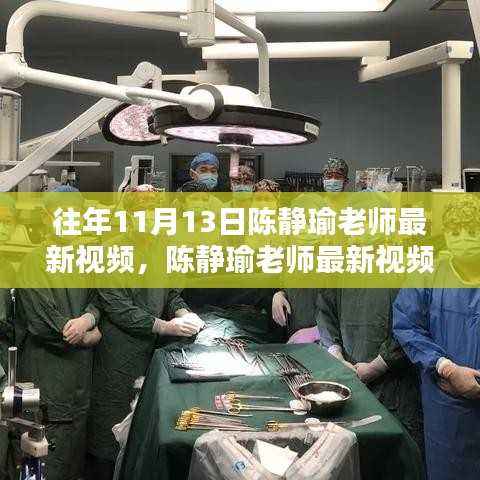 陈静瑜老师最新视频及深度解析报告——往年11月13日产品测评与洞察