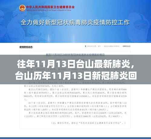 台山历年11月13日新冠肺炎回顾,疫情背景、重大事件与影响地位分析