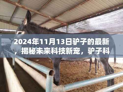 揭秘未来科技新宠,驴子科技全新产品体验首发于2024年11月13日