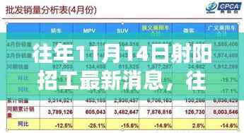 往年11月14日射阳招工最新消息深度探寻与求职平台特性体验评测