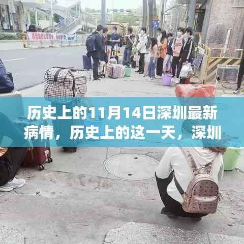 历史上的这一天,深圳疫情变迁的微观记录与宏观影响(11月14日篇)