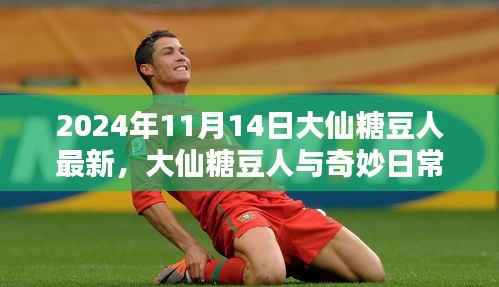 大仙糖豆人奇妙日常,友情之光的闪耀(最新2024年11月14日更新)