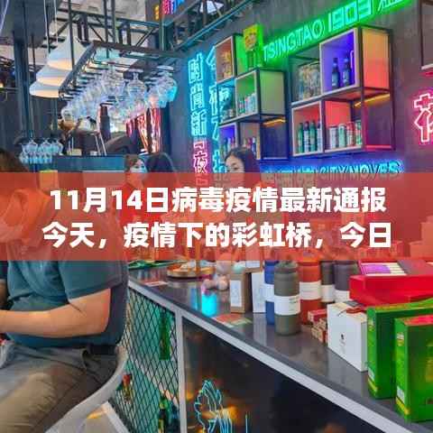 疫情下的彩虹桥,今日趣事与温情相伴的十一月十四日最新通报