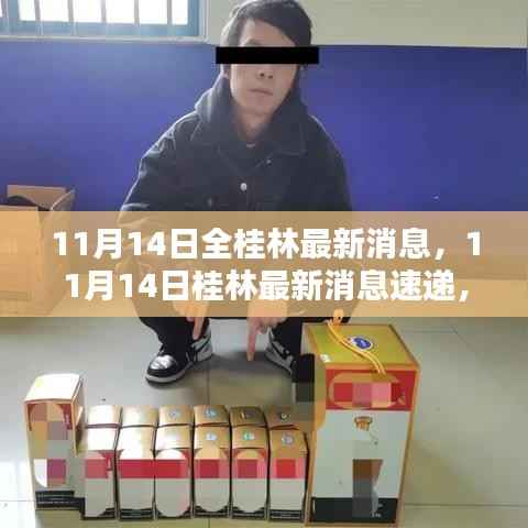 11月14日桂林全貌,最新消息速递与城市动态一网打尽