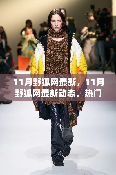 11月野狐网最新动态及热门资讯汇总,掌握最新潮流趋势