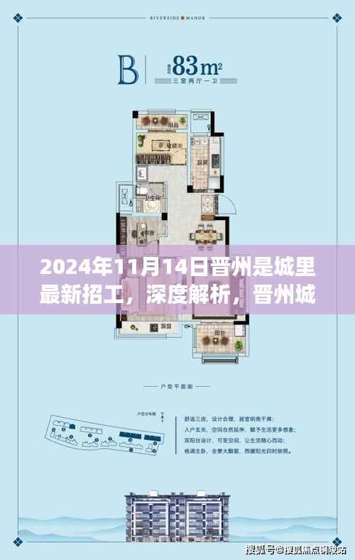 晋州城里最新招工趋势展望与深度体验报告(2024年11月版)