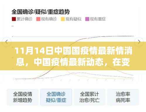中国疫情最新动态更新,变革时代下的曙光(11月14日版)