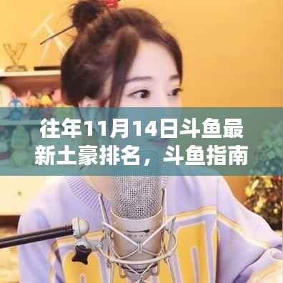 斗鱼土豪排名揭秘,往年11月14日斗鱼土豪榜单及查询技巧指南