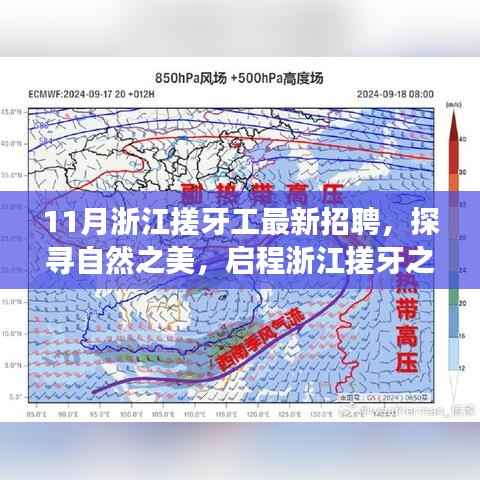 探寻自然之美,启程心灵之旅,浙江搓牙工11月最新招聘活动