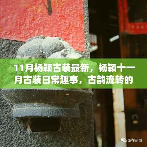 杨颖11月古装风采,日常趣事中的古韵温暖时光