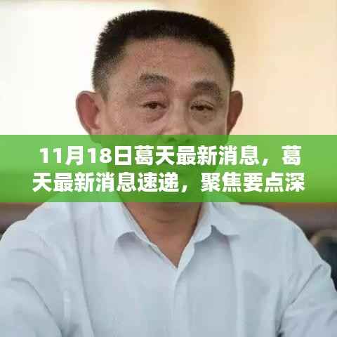 葛天最新消息聚焦,深度解析与速递