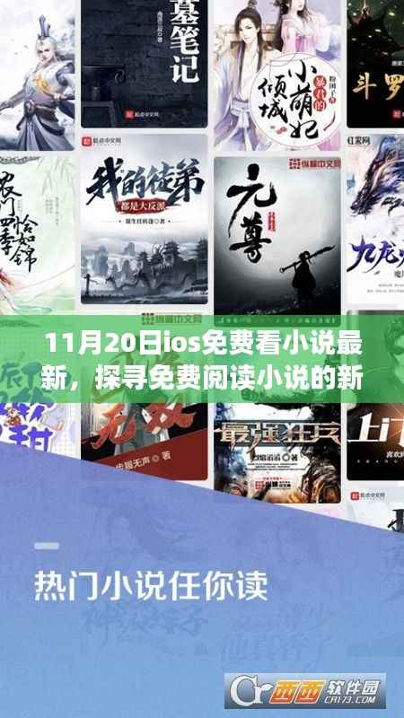 iOS平台免费阅读小说新纪元,探寻免费小说的最新篇章(11月20日更新)