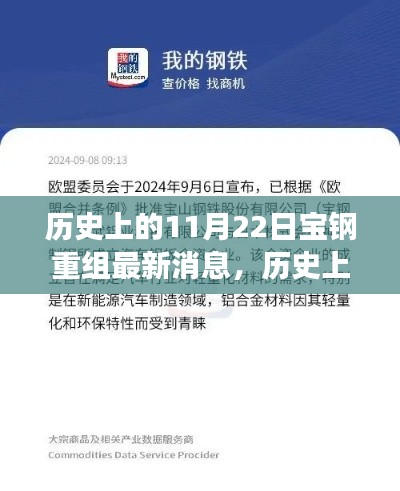 历史上的11月22日,宝钢重组最新进展与展望
