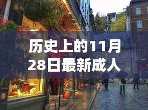 11月28日成人英语直播学习秘境,探秘新纪元,畅享英语直播学习之旅!