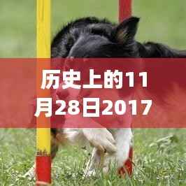 历史上的11月28日,最新款小车购买指南与全攻略,适合初学者与进阶用户参考