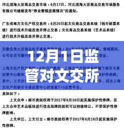 揭秘监管新动态下的文交所,特色小店探秘与最新消息解读