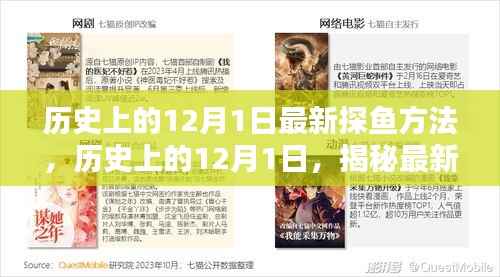 揭秘历史上的12月1日最新探鱼技巧与方法揭秘探鱼秘籍,一网打尽!