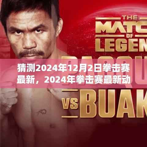 揭秘未来拳击赛场,专家预测2024年拳击赛最新动态与精彩对决猜想
