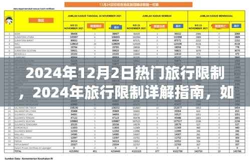2024年旅行限制详解指南,顺利出行不受限