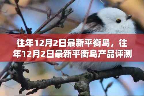 往年12月2日最新平衡鸟产品评测与介绍首发文章标题揭晓!
