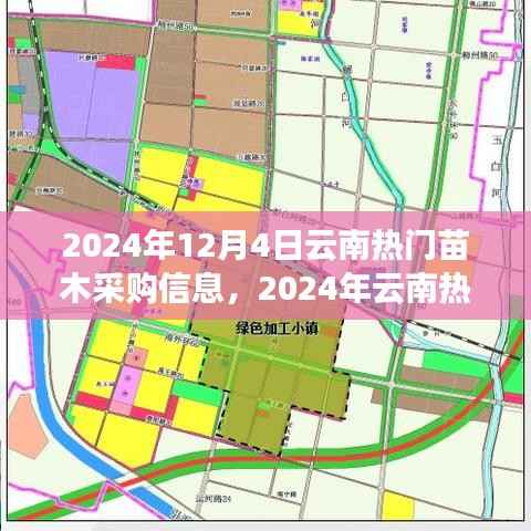 2024年云南热门苗木采购攻略,掌握信息,高效完成采购任务