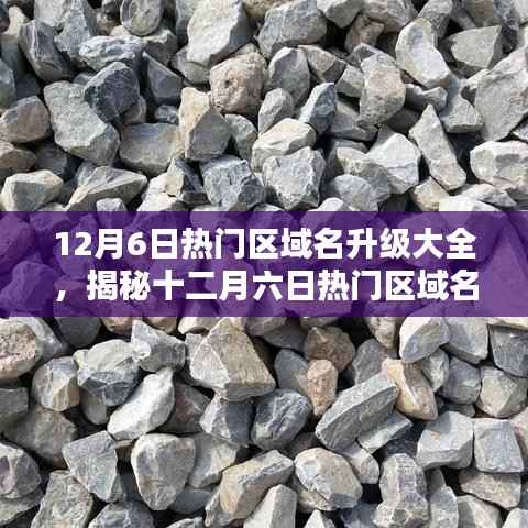 揭秘十二月六日热门区域名升级趋势,深度解析升级大全