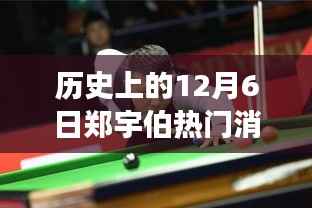 风云际会,历史上的12月6日郑宇伯热门消息全解析