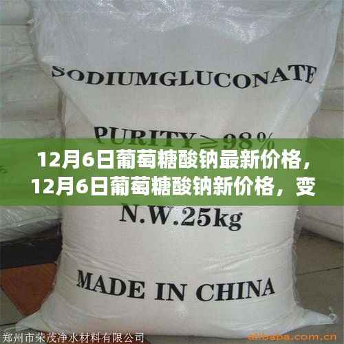 12月6日葡萄糖酸钠价格动态,学习之旅中的自信与成就感之源