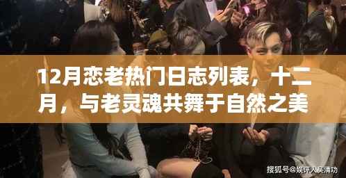 十二月恋老热门日志旅行清单,与自然之美共舞的老灵魂之旅