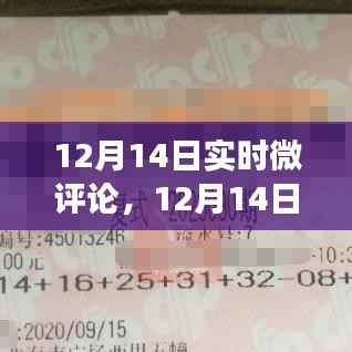 12月14日实时微评论,热点事件深度解读与独特见解