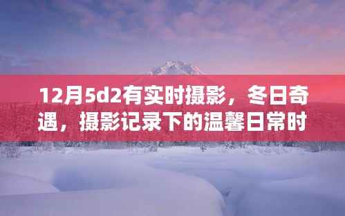 冬日摄影纪实,温馨日常的实时记录与奇遇时刻