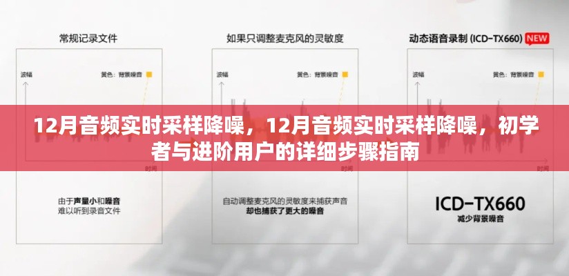 12月音频实时采样降噪,从初学者到进阶用户的详细步骤指南